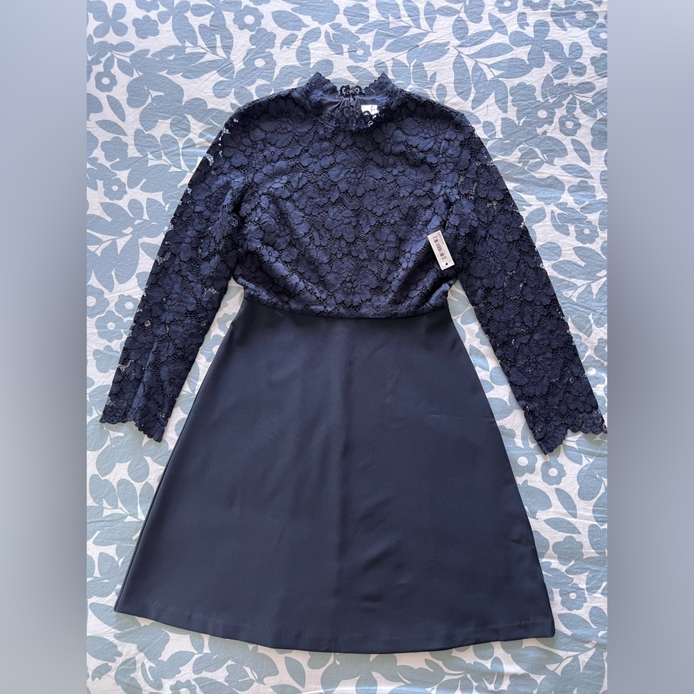 Lark & Ro Midnight Lace Dress